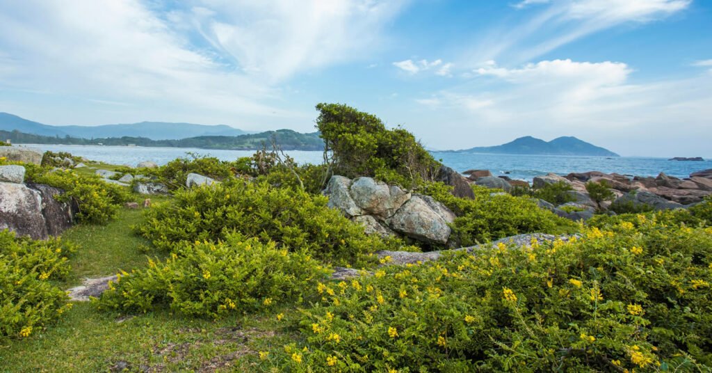 Ibiraquera em Imbituba, Santa Catarina