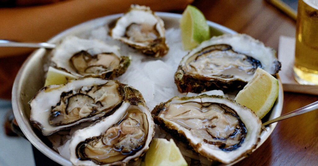 Ostras de Governador Celso Ramos