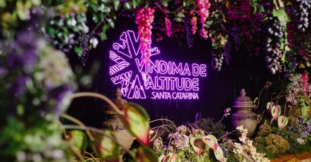 vinho e arte sao joaquim sc VINDIMA 2026